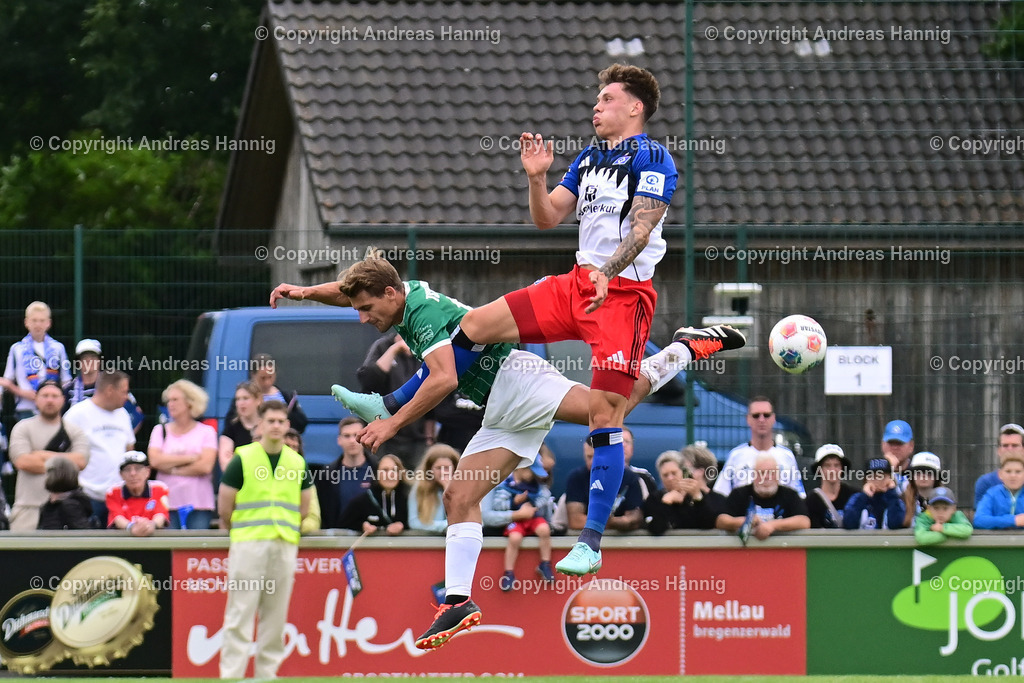 Fußball I Herren I Testspiel  I TSV Elstorf - Hamburger SV I 5.7.2025 | a-hannig - Realisiert mit Pictrs.com