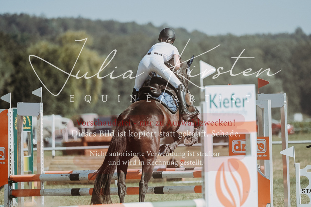 DSC_9660 | Pferde- und Turnierfotografie in Westsachsen. Pferdeportraits, Auftragszeichnungen und intuitive Kunst.