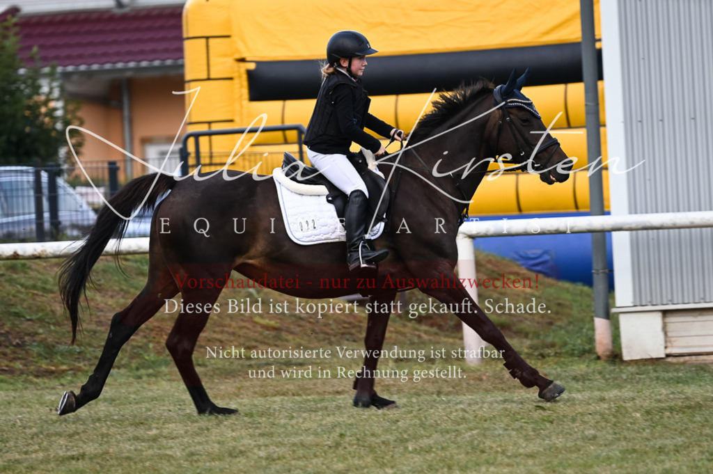 DSC_5580 | Pferde- und Turnierfotografie in Westsachsen. Pferdeportraits, Auftragszeichnungen und intuitive Kunst.