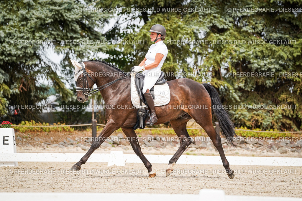 DSC06401 | Pferdegrafie