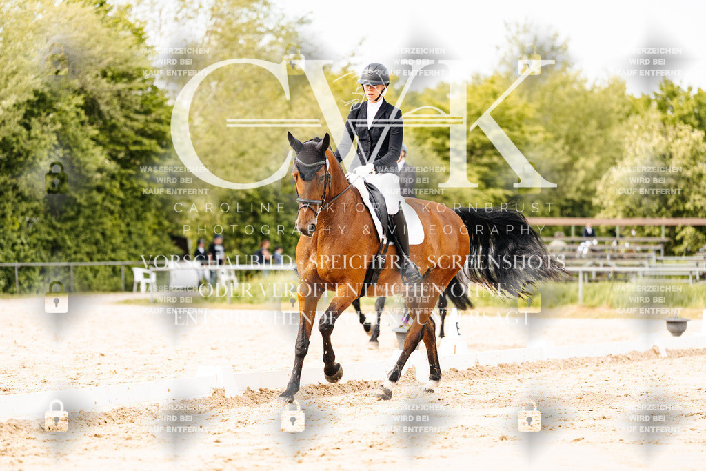CK900969 | Turnierfotografie Pferdefotografie Trier Rheinland-Pfalz Pferdesport Reitsport Tierfotografie Sportfotografie Pferdevideo Pferdevideografie Equestrianvideography equestrianphotography  - Realisiert mit Pictrs.com