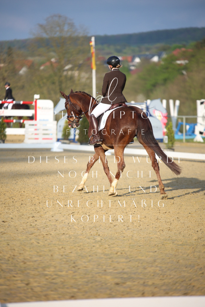 IMGT9155 | pl-fotografie