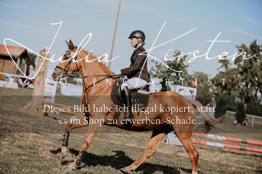 DSC_9339 | Pferde- und Turnierfotografie in Westsachsen. Pferdeportraits, Auftragszeichnungen und intuitive Kunst.