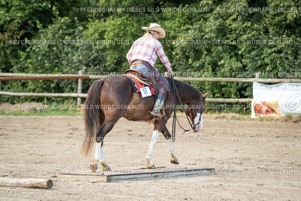 DSC05942 | Pferdegrafie