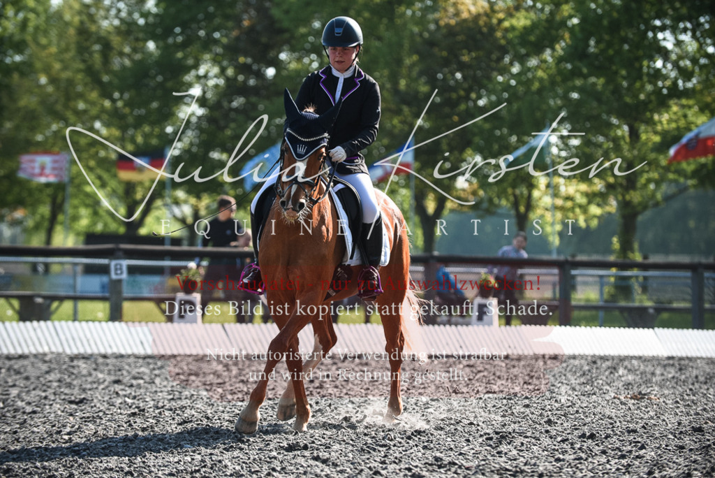 DSC_8437 | Pferde- und Turnierfotografie in Westsachsen. Pferdeportraits, Auftragszeichnungen und intuitive Kunst.