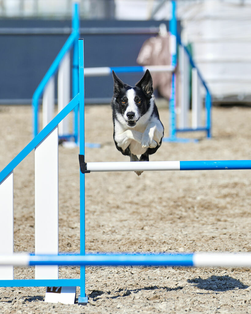 580A0197 | Peter Fridle Fotografie - Realisiert mit Pictrs.com