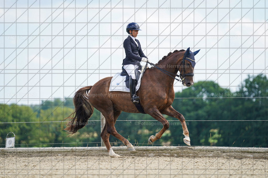 20230826-FAH05808 | Forstinning, 2023, Dressurturnier, Turniersportbilder, Turnierfotografen Bayern, Fotoagentur Herrmann, Reitsportfotografie, Turnierbilder