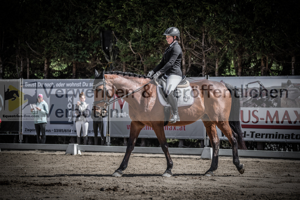 DSC_0546 | equestrian-live-com