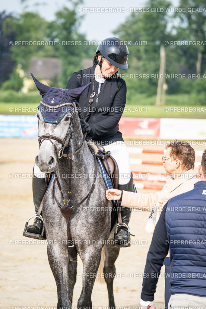 DSC09123 | Pferdegrafie