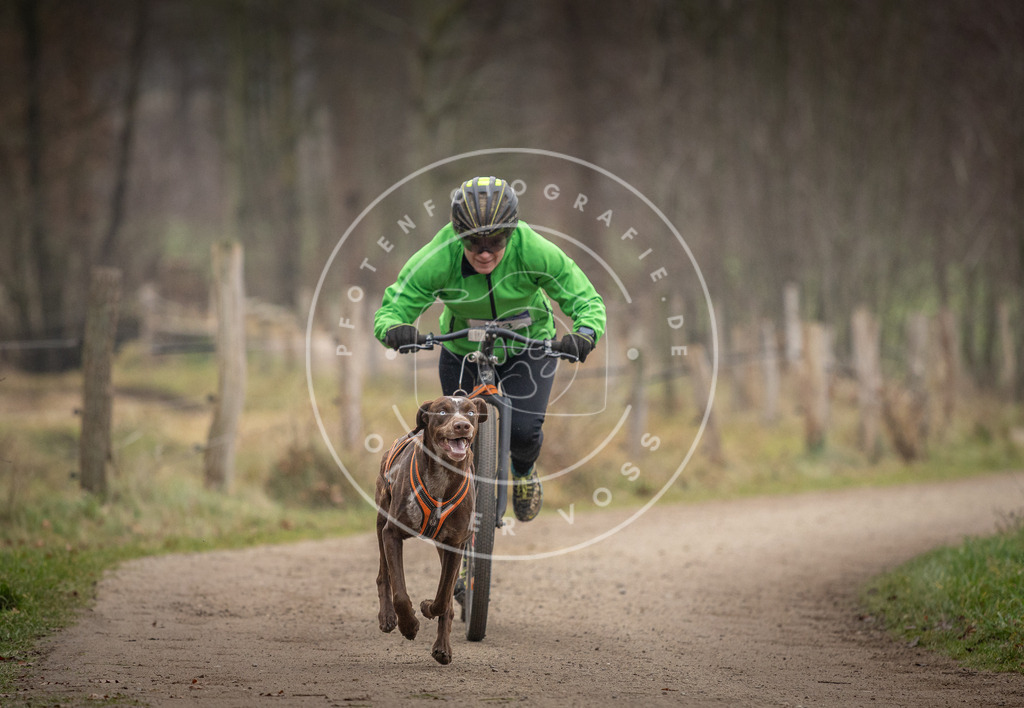 Pfotenfotografie_DV3A2339 | Hundefotografie, Tierfotograf, Pfotenfotografie, Fotoshooting Hund, Hunde Portrait, Hundesport, Hundeportraits, Heideshooting, Hunde, Sportfotograf, Hundefotograf, Turnierhundsport, THS,  - Realisiert mit Pictrs.com