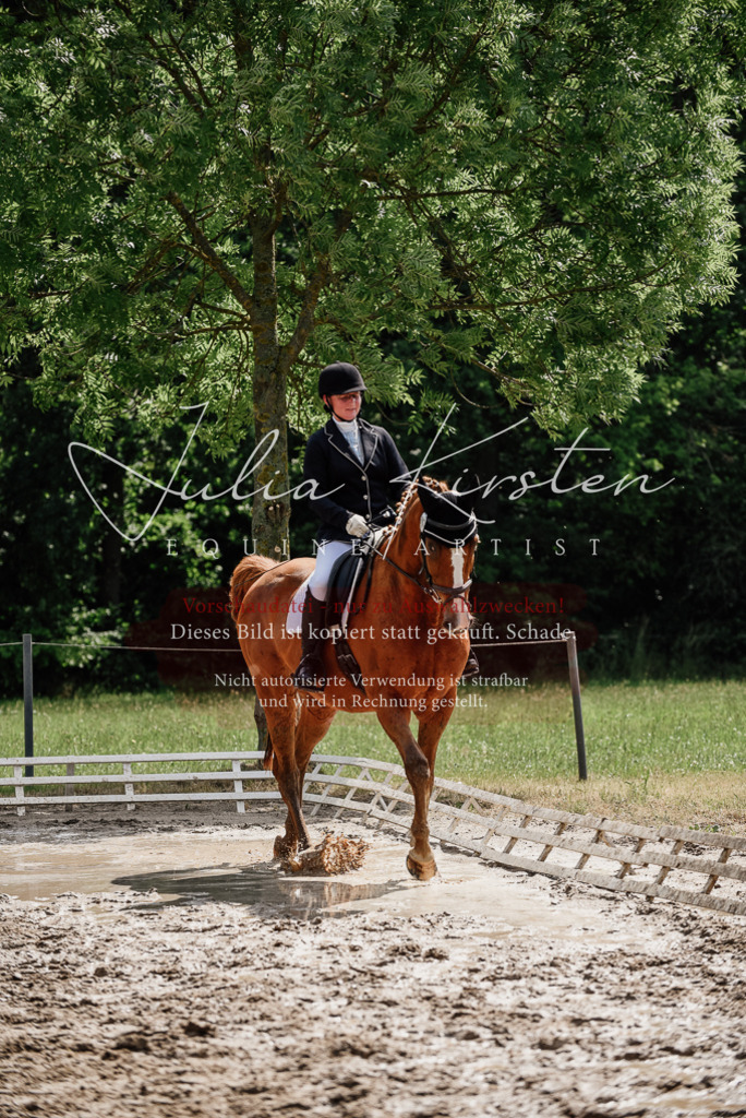 DSC_0656 | Pferde- und Turnierfotografie in Westsachsen. Pferdeportraits, Auftragszeichnungen und intuitive Kunst.