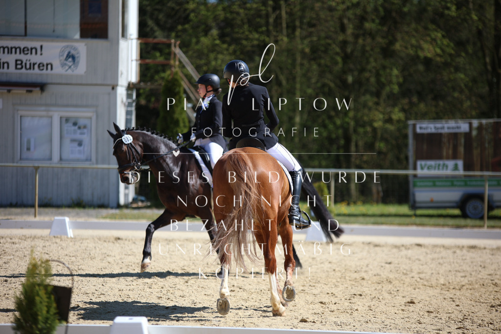 IMGT1608 | pl-fotografie