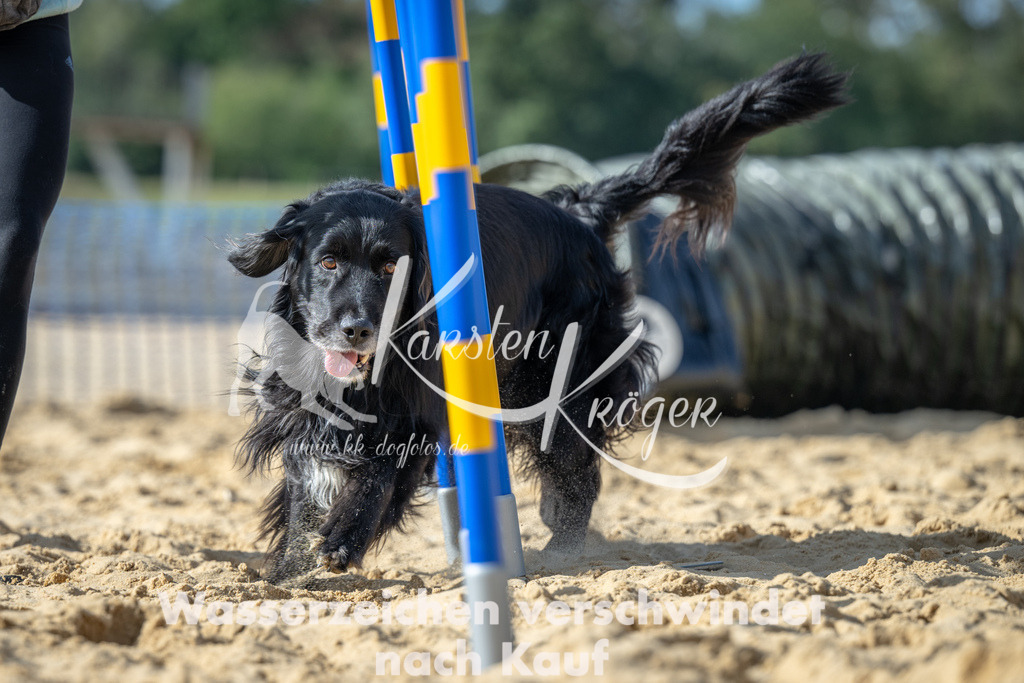 1436_ZZ91650 | kk-dogfotos