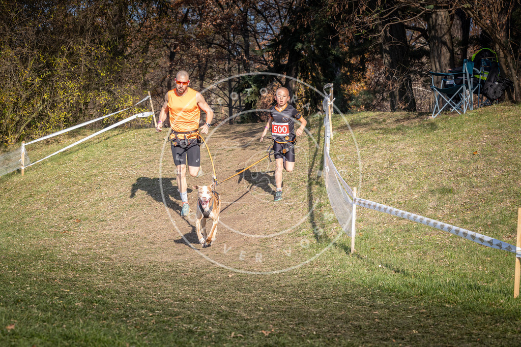 CaniXpix_0L8A8300 | Hundefotografie, Tierfotograf, Pfotenfotografie, Fotoshooting Hund, Hunde Portrait, Hundesport, Hundeportraits, Heideshooting, Hunde, Sportfotograf, Hundefotograf, Turnierhundsport, THS,  - Realisiert mit Pictrs.com