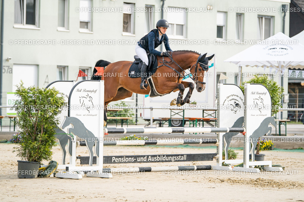 DSC08373 | Pferdegrafie