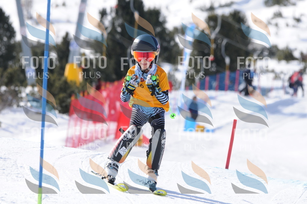 C7241 | holidayphoto