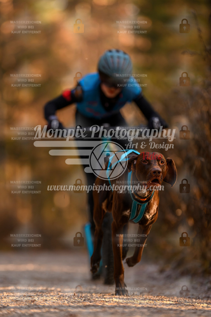 MompixPhotography_DM_AKDM_SO_2025_Scooter-107 | PayLife