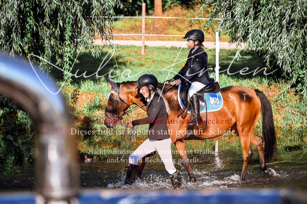 DSC_0230 | Pferde- und Turnierfotografie in Westsachsen. Pferdeportraits, Auftragszeichnungen und intuitive Kunst.