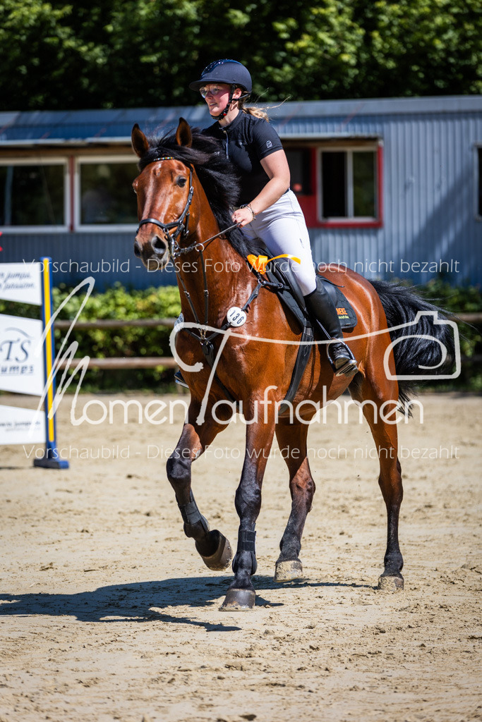 Donop24-L-Spr-060 | MomenTaufnahmen Pferdesportfotos