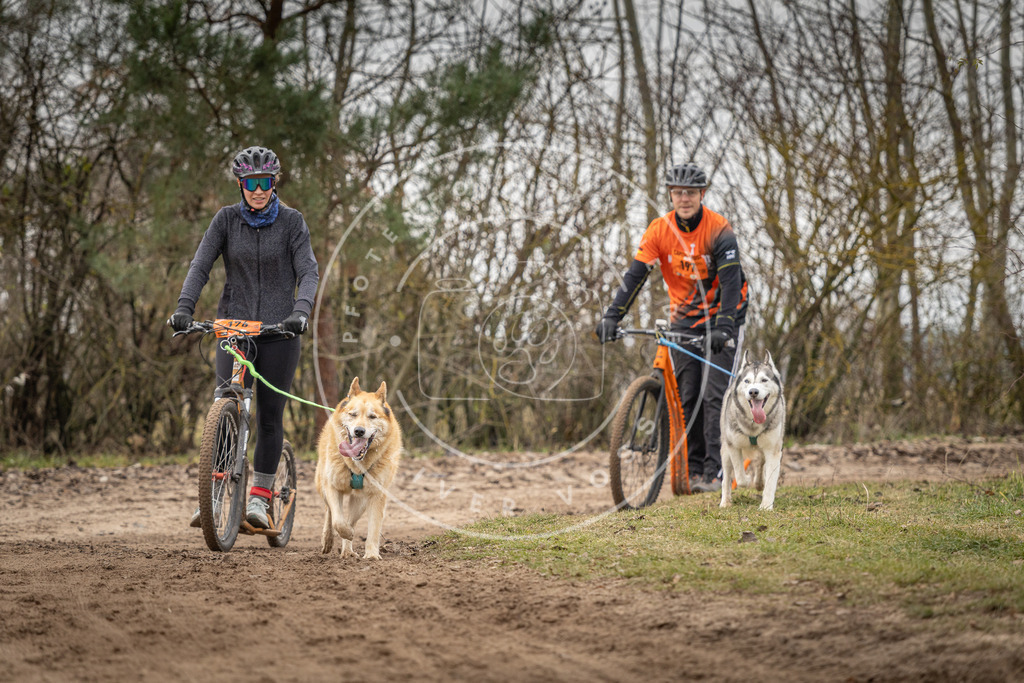 Pfotenfotografie_DV3A0169 | Hundefotografie, Tierfotograf, Pfotenfotografie, Fotoshooting Hund, Hunde Portrait, Hundesport, Hundeportraits, Heideshooting, Hunde, Sportfotograf, Hundefotograf, Turnierhundsport, THS,  - Realisiert mit Pictrs.com