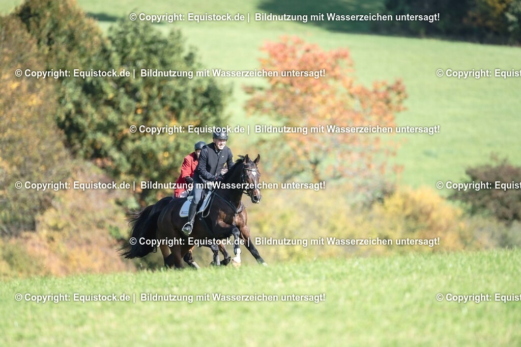 20251011_Jagd-Marbach_0338 | Foto: Thomas Hartig