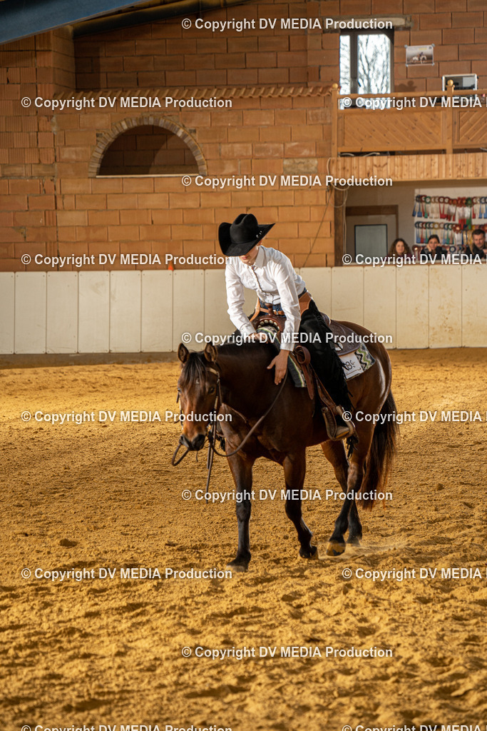 MIT00775 | dv-media-shop - Realisiert mit Pictrs.com