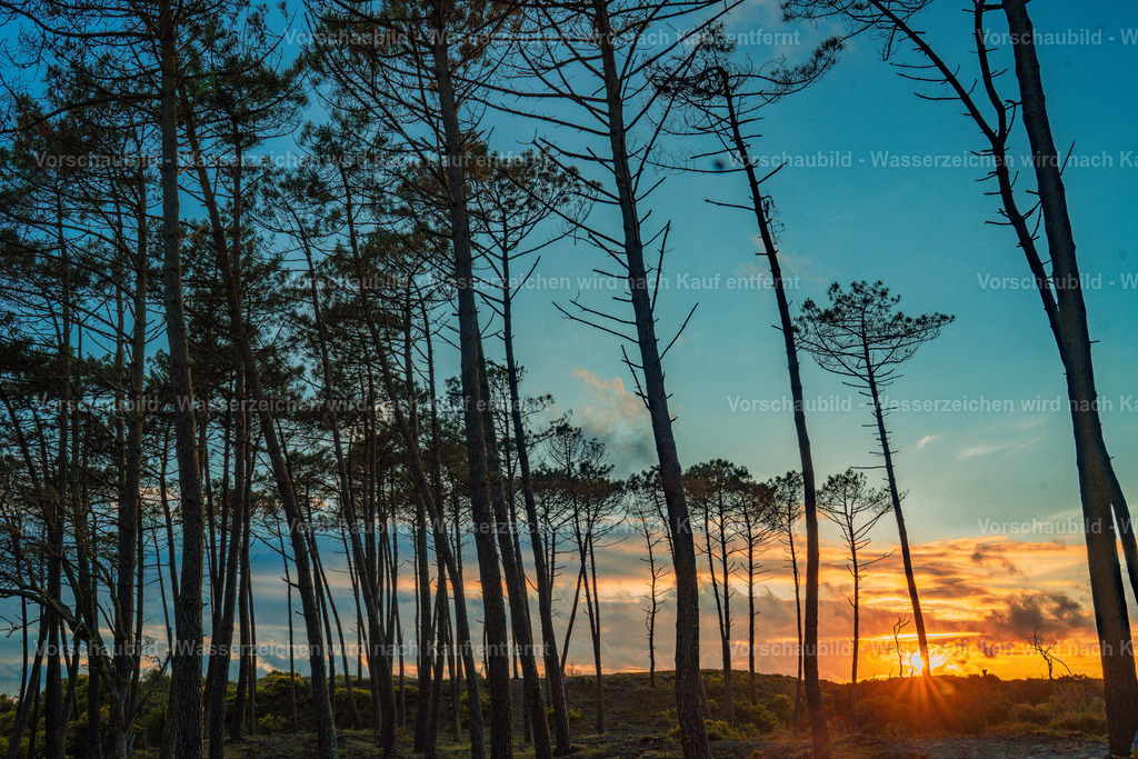 DSC01849 | marcuslinek