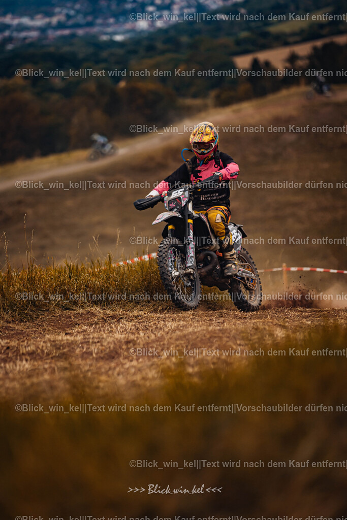 E68A8313 | blick_win_kel