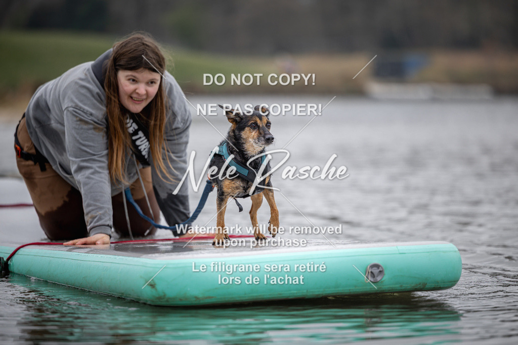 nelerasche_Hulsbeek_Sa1230-1330_299 | nelerasche
