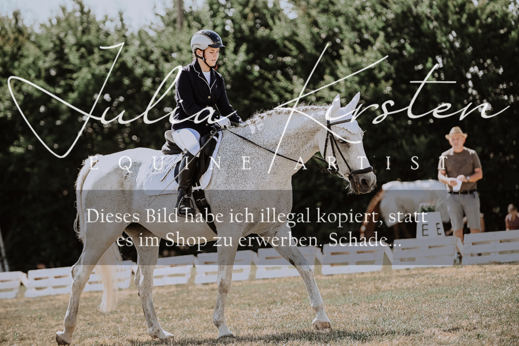 DSC_8530 | Pferde- und Turnierfotografie in Westsachsen. Pferdeportraits, Auftragszeichnungen und intuitive Kunst.
