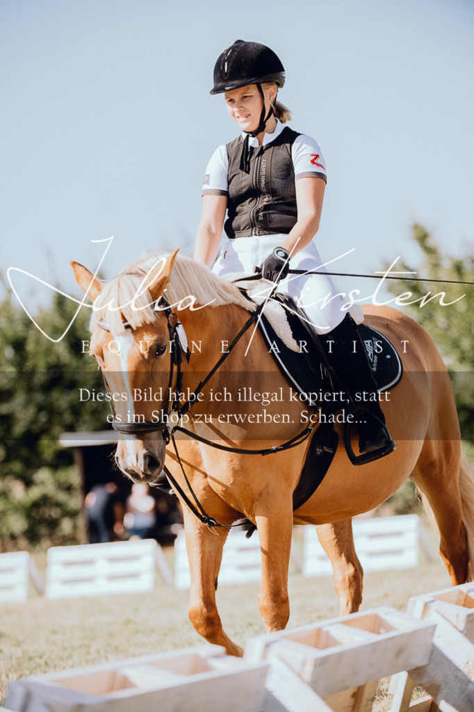 DSC_7084 | Pferde- und Turnierfotografie in Westsachsen. Pferdeportraits, Auftragszeichnungen und intuitive Kunst.