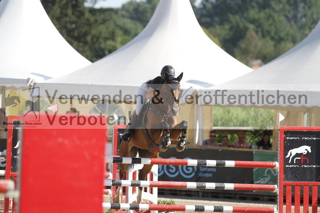 _MG_6571 | equestrian-live-com