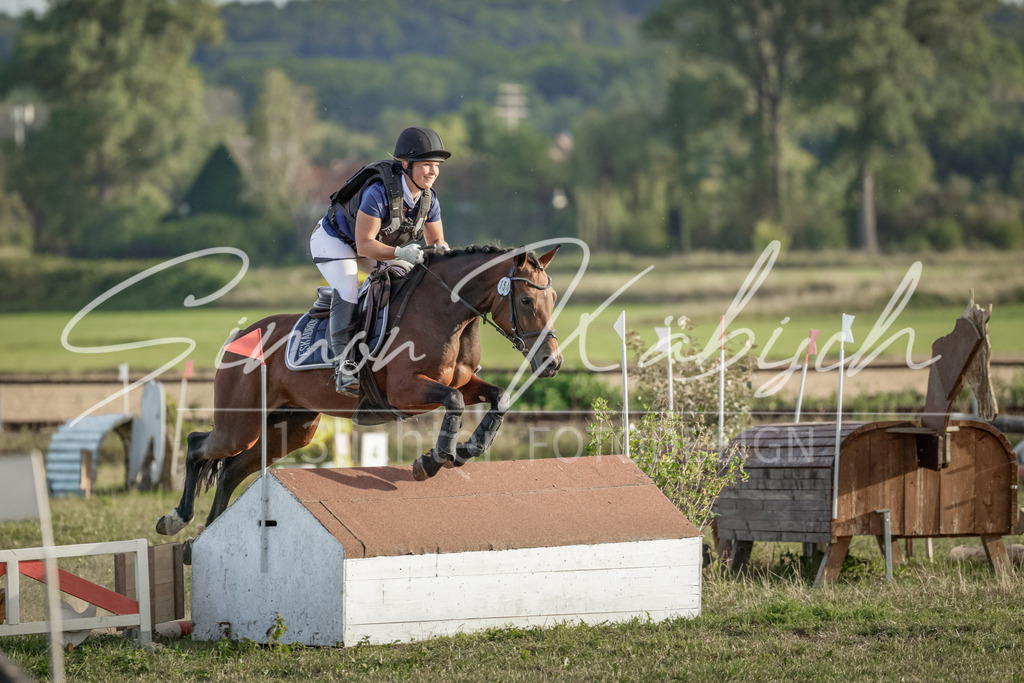 20250906-_3LI7951 | Tierfotografie Pferde, Hunde, Katzen, Haustiere.
Turnierfotografie Reitturniere, Reiten, Springreiten, Dressur in Hanau, dem Main-Kinzig-Kreis und dem Rhein-Main- Gebiet um Frankfurt