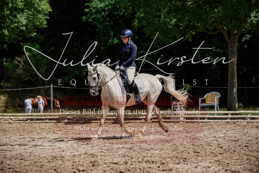 DSC_1843 | Pferde- und Turnierfotografie in Westsachsen. Pferdeportraits, Auftragszeichnungen und intuitive Kunst.