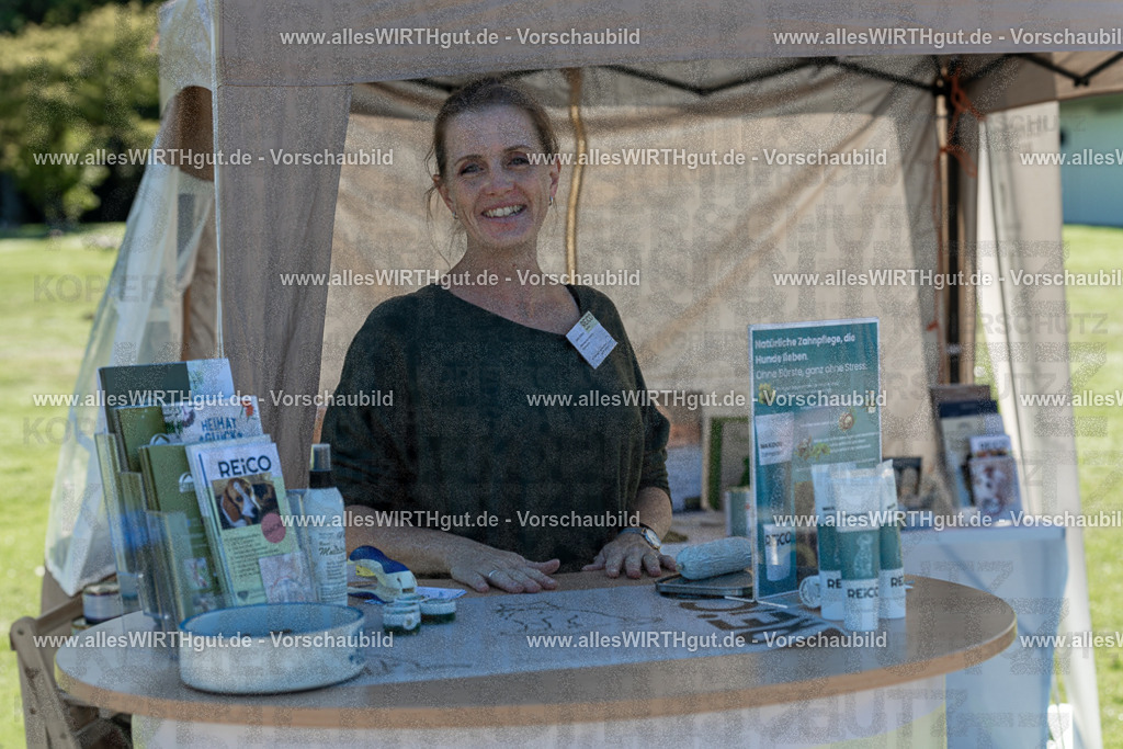 Hundeschwimmen_Volksbad_2026-allesWIRTHgut_Tierfotografie-2609061044-095439-7R509154 | Professionelle Tierfotografie in Mönchengladbach von Daniel Wirth (allesWIRTHgut). Liebevolle & natürliche Bilder von Hunden & Katzen für unvergessliche Erinnerungen.
