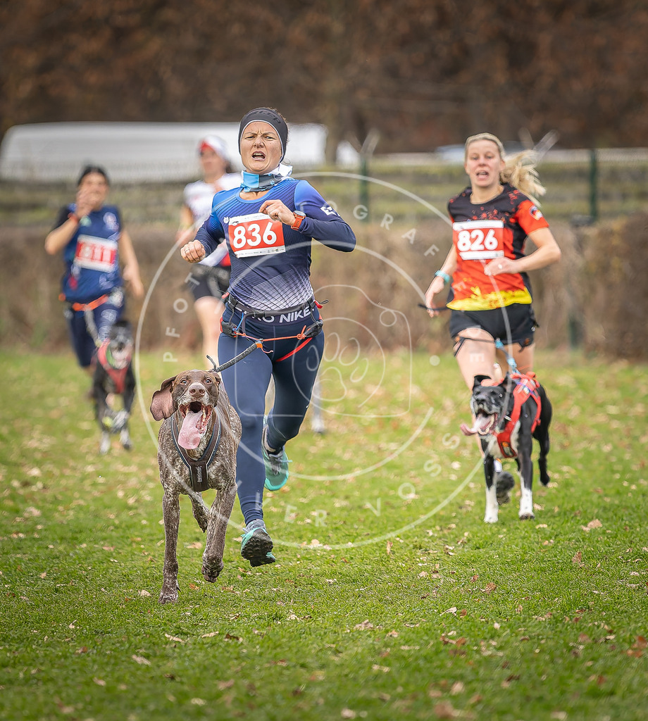 CaniXpix_DV3A6284 | Hundefotografie, Tierfotograf, Pfotenfotografie, Fotoshooting Hund, Hunde Portrait, Hundesport, Hundeportraits, Heideshooting, Hunde, Sportfotograf, Hundefotograf, Turnierhundsport, THS,  - Realisiert mit Pictrs.com