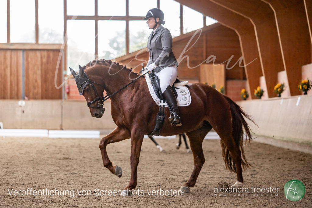 250913_Barop_09_103 | Farbklaex - Turnierfotografie - Realisiert mit Pictrs.com