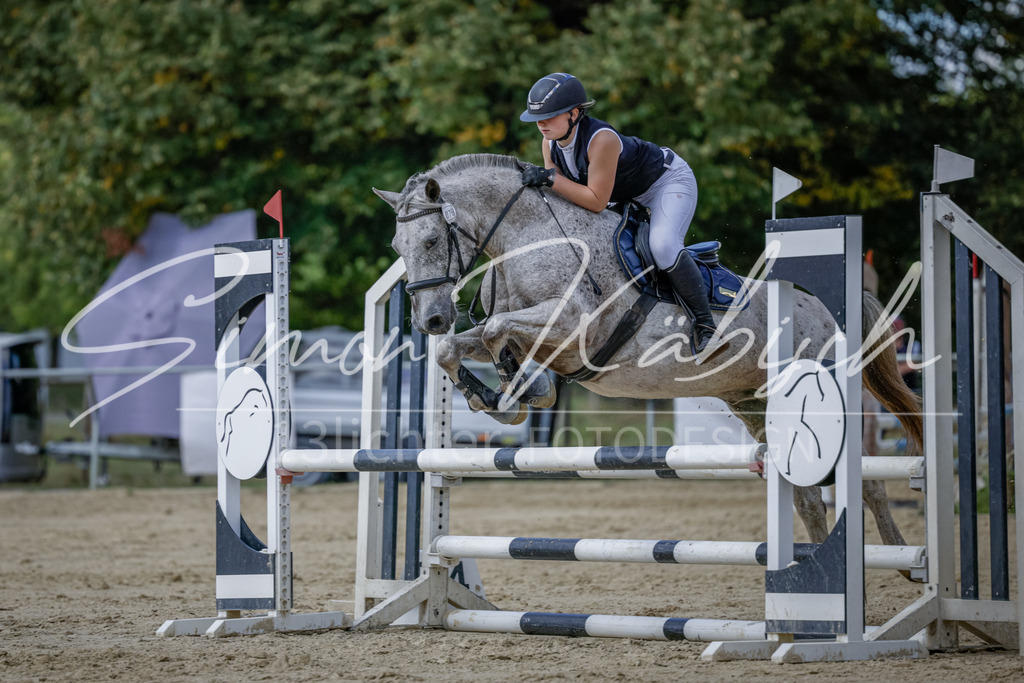 20250906-_3LI6462 | Tierfotografie Pferde, Hunde, Katzen, Haustiere.
Turnierfotografie Reitturniere, Reiten, Springreiten, Dressur in Hanau, dem Main-Kinzig-Kreis und dem Rhein-Main- Gebiet um Frankfurt