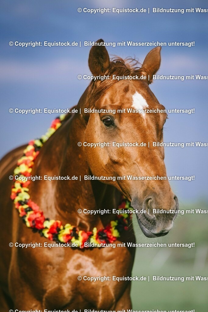 20160624_Deutschland_Fan_0002 | Foto: Thomas Hartig