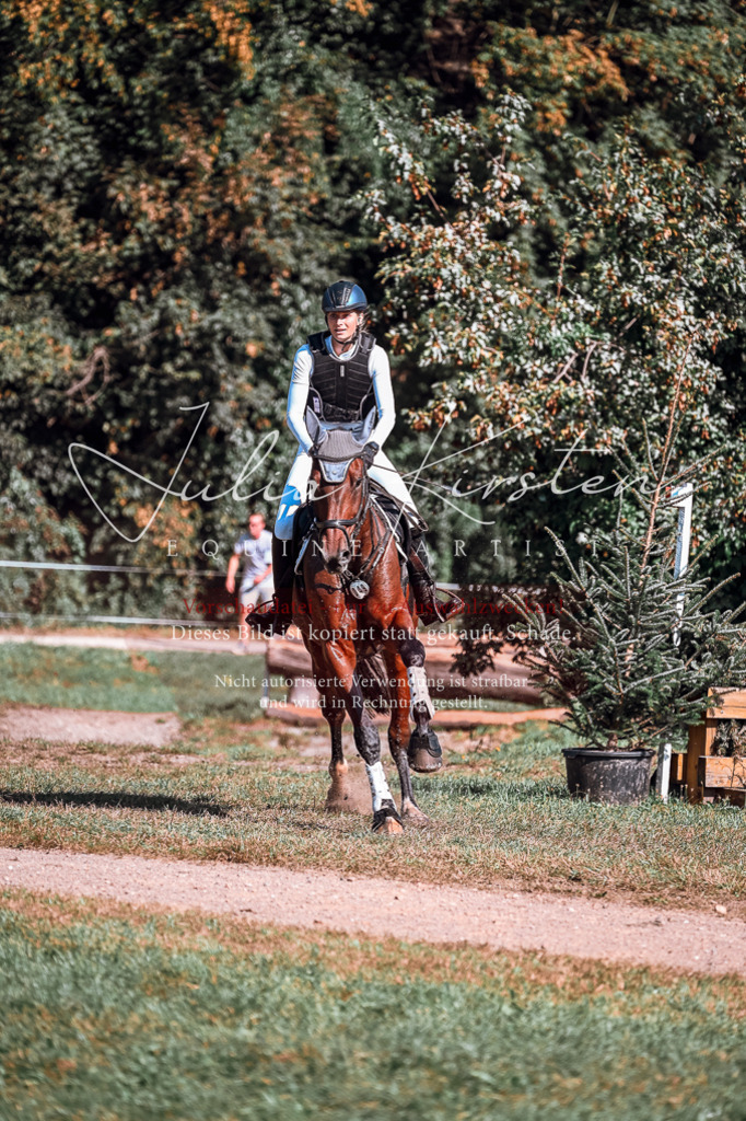 DSC_1097 | Pferde- und Turnierfotografie in Westsachsen. Pferdeportraits, Auftragszeichnungen und intuitive Kunst.
