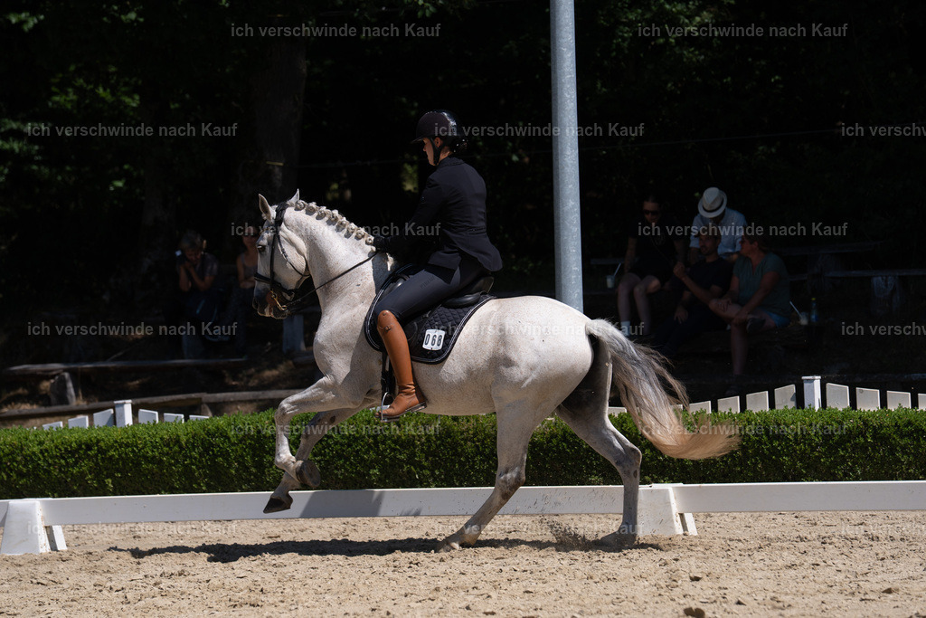 SIN03335 | working equitationturnier fotograf videograf stoibphotography marixx film working equitation deutschland reitsport turnierfotografie eventfotografie equestrian events