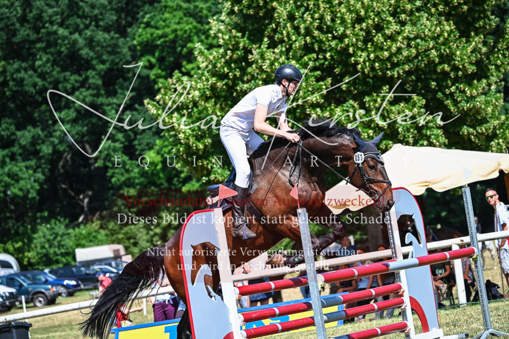 DSC_1240 | Pferde- und Turnierfotografie in Westsachsen. Pferdeportraits, Auftragszeichnungen und intuitive Kunst.