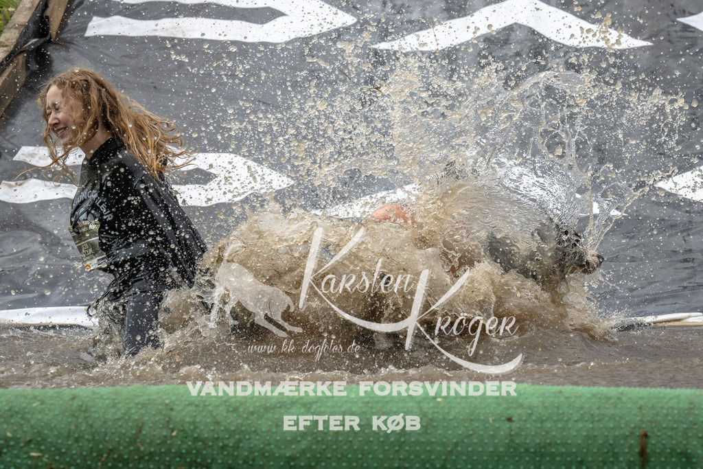 1601_ZZ91990 | kk-dogfotos