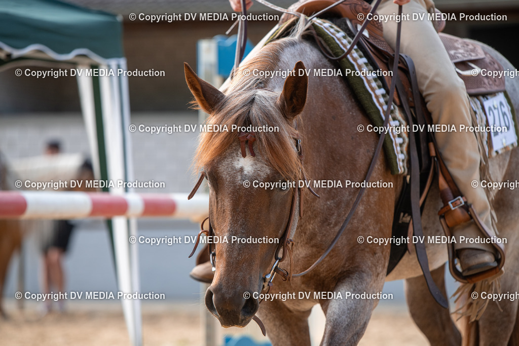 EWP_5743 | dv-media-shop - Realisiert mit Pictrs.com