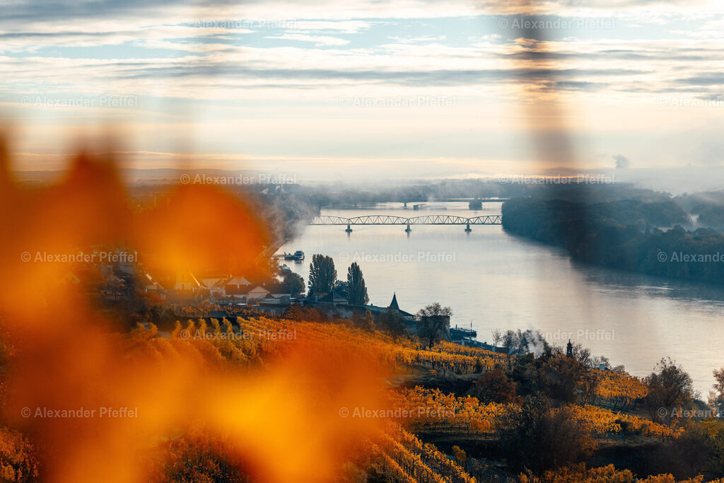 foto_c_pfeffel-partner-0099-R52_0346 | alexander-pfeffel - Realisiert mit Pictrs.com