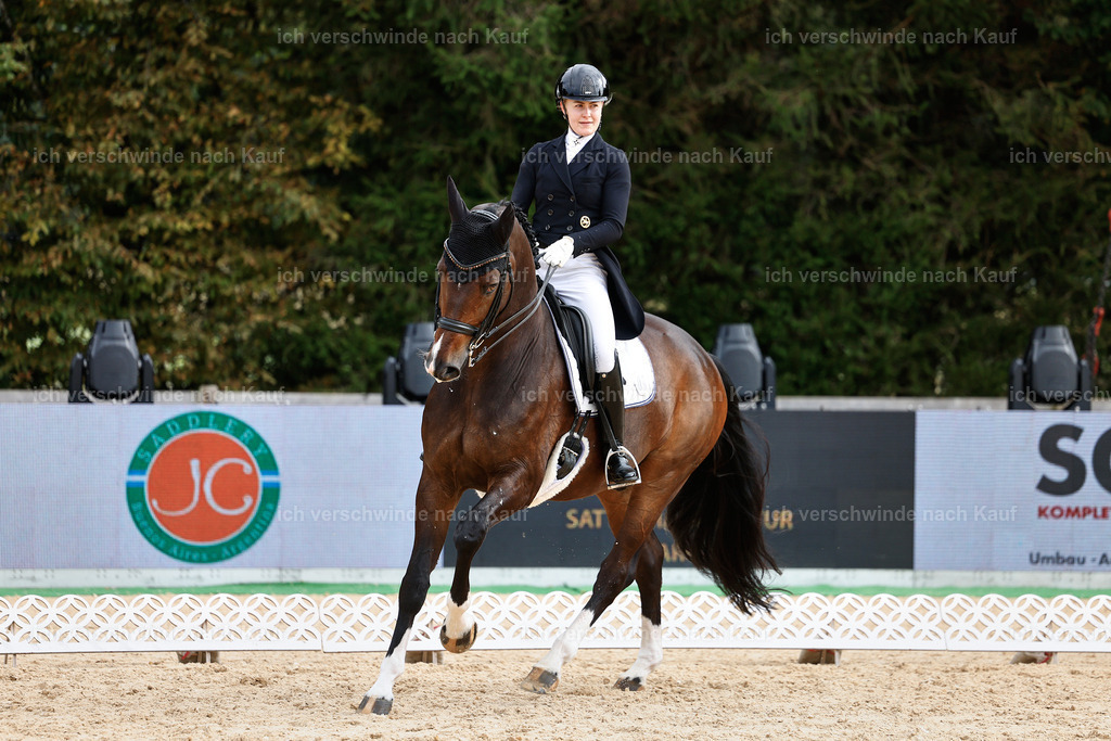 11-091-Dressur S___-StoibPH-1261 | working equitationturnier fotograf videograf stoibphotography marixx film working equitation deutschland reitsport turnierfotografie eventfotografie equestrian events
