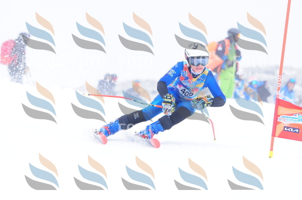 C4261 | holidayphoto