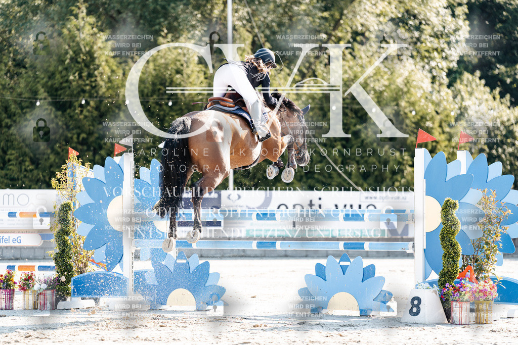CK901719 | Turnierfotografie Pferdefotografie Trier Rheinland-Pfalz Pferdesport Reitsport Tierfotografie Sportfotografie Pferdevideo Pferdevideografie Equestrianvideography equestrianphotography  - Realisiert mit Pictrs.com