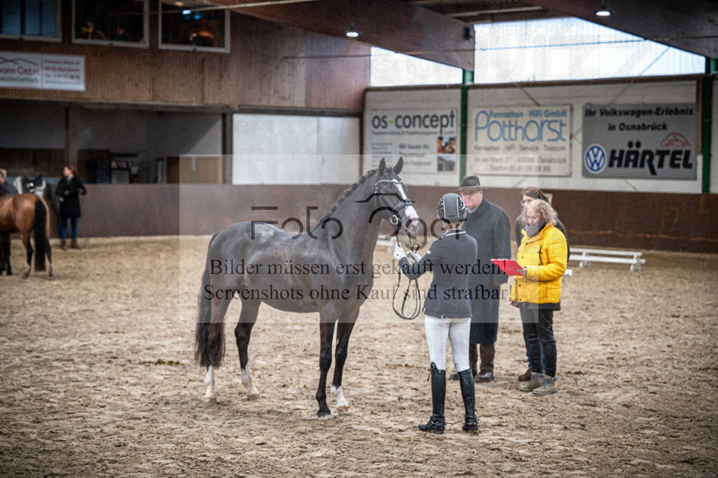 Hallenreittunier Voxtrup 2023 | Entdecke hochwertige Reitturnierfotos von Foto Oger. Professionell, emotional und authentisch – jetzt Lieblingsmomente im Shop bestellen.Deutschlandweite Turnierfotografie. - Realisiert mit Pictrs.com