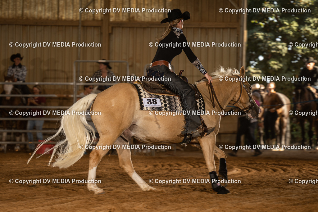 NID03842 | dv-media-shop - Realisiert mit Pictrs.com